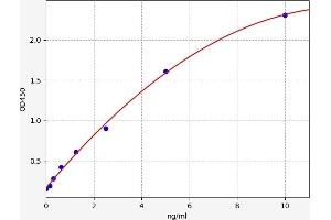 Typical standard curve (ATF4 ELISA 试剂盒)