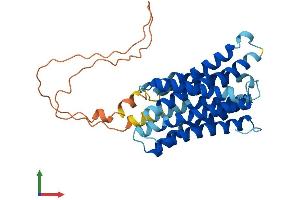 Protein Structure (PS) image for Solute Carrier Family 39 (Metal Ion Transporter), Member 11 (SLC39A11) (AA 1-342) protein (His tag) (ABIN7558979)
