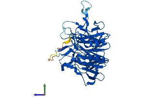 Protein Structure (PS) image for Kelch Domain Containing 3 (KLHDC3) (AA 1-382) protein (His tag) (ABIN7548900)