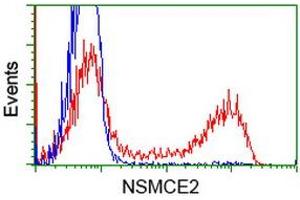 HEK293T cells transfected with either RC207639 overexpress plasmid (Red) or empty vector control plasmid (Blue) were immunostained by anti-NSMCE2 antibody (ABIN2453382), and then analyzed by flow cytometry. (NSMCE2 抗体)