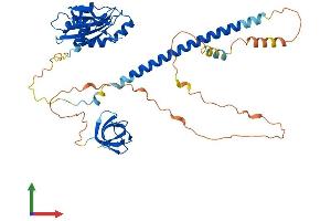 AlphaFold protein structure predicition of Mouse Recombinant Dbnl Protein, UniprotID Q62418