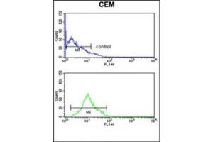 Flow cytometry analysis of CEM cells using KCNJ11 Antibody (N-term) Cat. (KCNJ11 抗体  (N-Term))