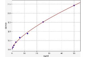 Typical standard curve (ADAMTS1 ELISA 试剂盒)