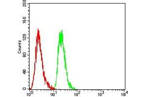 Flow Cytometry (FACS) image for anti-Excision Repair Cross Complementing Polypeptide-1 (ERCC1) (AA 1-297) antibody (ABIN7193699)