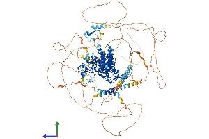 Protein Structure (PS) image for Ring Finger and CCCH-Type Domains 1 (RC3H1) (AA 1-1133) protein (His tag) (ABIN7555130)