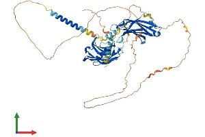AlphaFold protein structure predicition of Mouse Recombinant Syt3 Protein, UniprotID O35681 (Synaptotagmin 3 Protein (AA 1-587) (His tag))