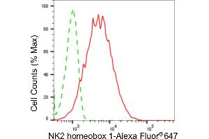 Flow cytometric analysis of NK2 homeobox 1 expression in HepG2 cells using NK2 homeobox 1 antibody (ABIN7799609), 1:2,000). (Recombinant NKX2-1 抗体)