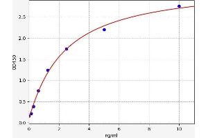 Typical standard curve (FAF2 ELISA 试剂盒)
