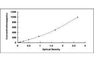 ELISA image for Glutathione Peroxidase 1 (GPX1) ELISA Kit (ABIN414041)