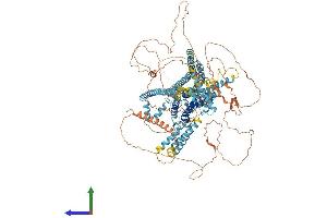 AlphaFold protein structure predicition of Mouse Recombinant Tmc3 Protein, UniprotID Q7TQ69 (Tmc3 Protein (AA 1-1130) (His tag))