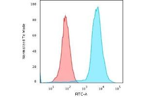 Flow Cytometric Analysis of PFA-fixed Jurkat cells using CD45 Monoclonal Antibody (135-4C5) followed by Goat anti- Mouse- IgG-CF488 (Blue); Isotype Control (Red).