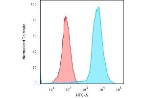Flow Cytometric Analysis of PFA-fixed Jurkat cells using CD45 Monoclonal Antibody (135-4C5) followed by Goat anti- Mouse- IgG-CF488 (Blue); Isotype Control (Red). (CD45 抗体)