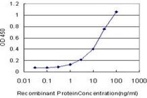 Detection limit for recombinant GST tagged MMP13 is approximately 1ng/ml as a capture antibody. (MMP13 抗体  (AA 362-471))