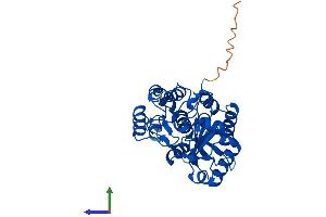 Protein Structure (PS) image for Phosphatidylinositol-Specific phospholipase C, X Domain Containing 1 (PLCXD1) (AA 1-323) protein (His tag) (ABIN7550804)