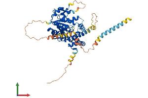 Protein Structure (PS) image for Carbohydrate (N-Acetylglucosamine 6-O) Sulfotransferase 7 (CHST7) (AA 1-484) protein (His tag) (ABIN7565019)