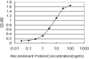 Detection limit for recombinant GST tagged MLL4 is approximately 0. (MLL4 抗体  (AA 813-904))