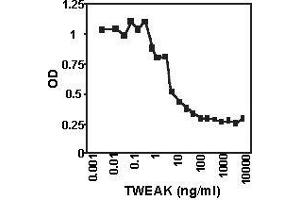 Apoptosis of TWEAK sensitive cells.