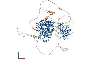 AlphaFold protein structure predicition of Human Recombinant KDM4C Protein, UniprotID Q9H3R0