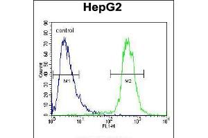 Flow cytometric analysis of HepG2 cells (right histogram) compared to a negative control cell (left histogram). (ATP13A3 抗体  (N-Term))