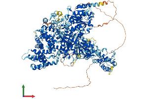 Protein Structure (PS) image for Aquarius Homolog (AQR) (AA 1-1485) protein (His tag) (ABIN7552262)