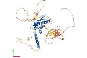 Protein Structure (PS) image for Protein BANP (BANP) (AA 1-519) protein (His tag) (ABIN7552654)