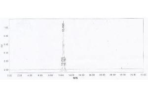 Image no. 1 for Nesfatin-1 (NES1) protein (Ovalbumin) (ABIN1880262) (NUCB2 Protein (Ovalbumin))