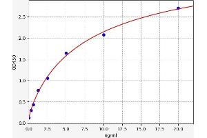 Typical standard curve (LPCAT2 ELISA 试剂盒)