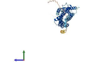 Protein Structure (PS) image for Lysophosphatidic Acid Receptor 5 (LPAR5) (AA 1-372) protein (His tag) (ABIN7549077)