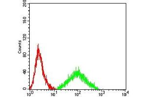 Flow cytometric analysis of HL-60 cells using CD243 mouse mAb (green) and negative control (red).