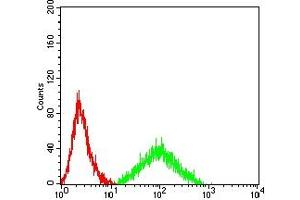 Flow cytometric analysis of HL-60 cells using CD243 mouse mAb (green) and negative control (red). (ABCB1 抗体  (AA 1149-1280))