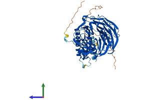 Protein Structure (PS) image for F-Box and WD Repeat Domain Containing 11 (FBXW11) (AA 1-542) protein (His tag) (ABIN7553917)