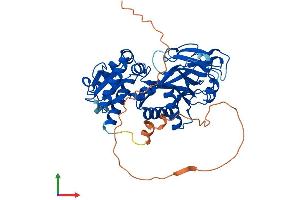 AlphaFold protein structure predicition of Human Recombinant ITPK1 Protein, UniprotID Q13572