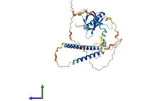 Protein Structure (PS) image for Pleckstrin Homology Domain Containing, Family O Member 1 (PLEKHO1) (AA 1-408) protein (His tag) (ABIN7565094)
