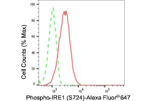 Flow cytometric analysis of phospho-IRE1 (S724) expression in HT- cells using phospho-IRE1 (S724) antibody (ABIN7798443), 1:2,000).