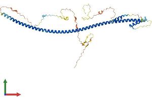 AlphaFold protein structure predicition of Human Recombinant BLZF1 Protein, UniprotID Q9H2G9