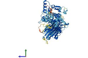 AlphaFold protein structure predicition of Mouse Recombinant Capn11 Protein, UniprotID Q6J756