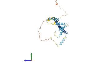 Protein Structure (PS) image for Clathrin, Light Chain A (CLTA) (AA 1-248) protein (His tag) (ABIN7553444)