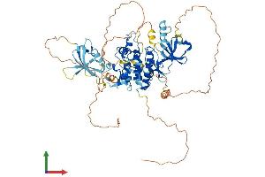 Protein Structure (PS) image for V-Raf-1 Murine Leukemia Viral Oncogene Homolog 1 (RAF1) (AA 1-648) protein (His tag) (ABIN7555117)
