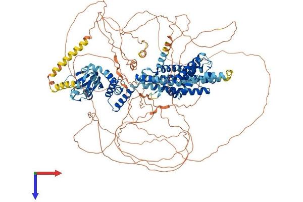 HCN4 Protein (AA 1-1186) (His tag)