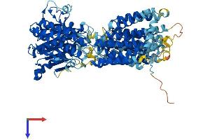 PIGN Protein (AA 1-931) (His tag)