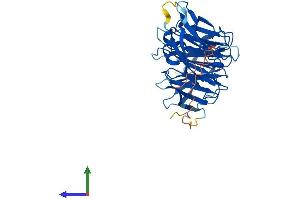 Protein Structure (PS) image for SEH1-Like (SEH1L) (AA 1-360) protein (His tag) (ABIN7559705)