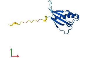Protein Structure (PS) image for Ribosomal Protein L31 (RPL31) (AA 1-125) protein (His tag) (ABIN7556626)