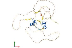 Protein Structure (PS) image for GATA Binding Protein 4 (GATA4) (AA 1-442) protein (His tag) (ABIN7554005)