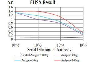 Black line: Control Antigen (100 ng), Purple line: Antigen(10 ng), Blue line: Antigen (50 ng), Red line: Antigen (100 ng), (ATG14 抗体  (AA 43-303))