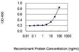 ELISA image for anti-Transient Receptor Potential Cation Channel, Subfamily V, Member 4 (TRPV4) (AA 772-871) antibody (ABIN1989544)