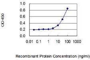 Detection limit for recombinant GST tagged TRPV4 is 1 ng/ml as a capture antibody. (TRPV4 抗体  (AA 772-871))
