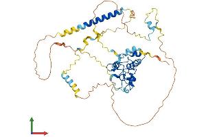 Protein Structure (PS) image for Cell Division Cycle Associated 7-Like (CDCA7L) (AA 1-438) protein (His tag) (ABIN7560231)
