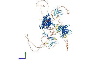 Protein Structure (PS) image for rho GTPase Activating Protein 27 (ARHGAP27) (AA 1-869) protein (His tag) (ABIN7561886)