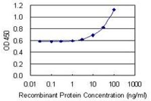 Detection limit for recombinant GST tagged HMHA1 is 1 ng/ml as a capture antibody. (HMHA1 抗体  (AA 91-190))