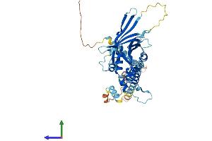 Protein Structure (PS) image for F-Box Protein 9 (FBXO9) (AA 1-437) protein (His tag) (ABIN7564376)